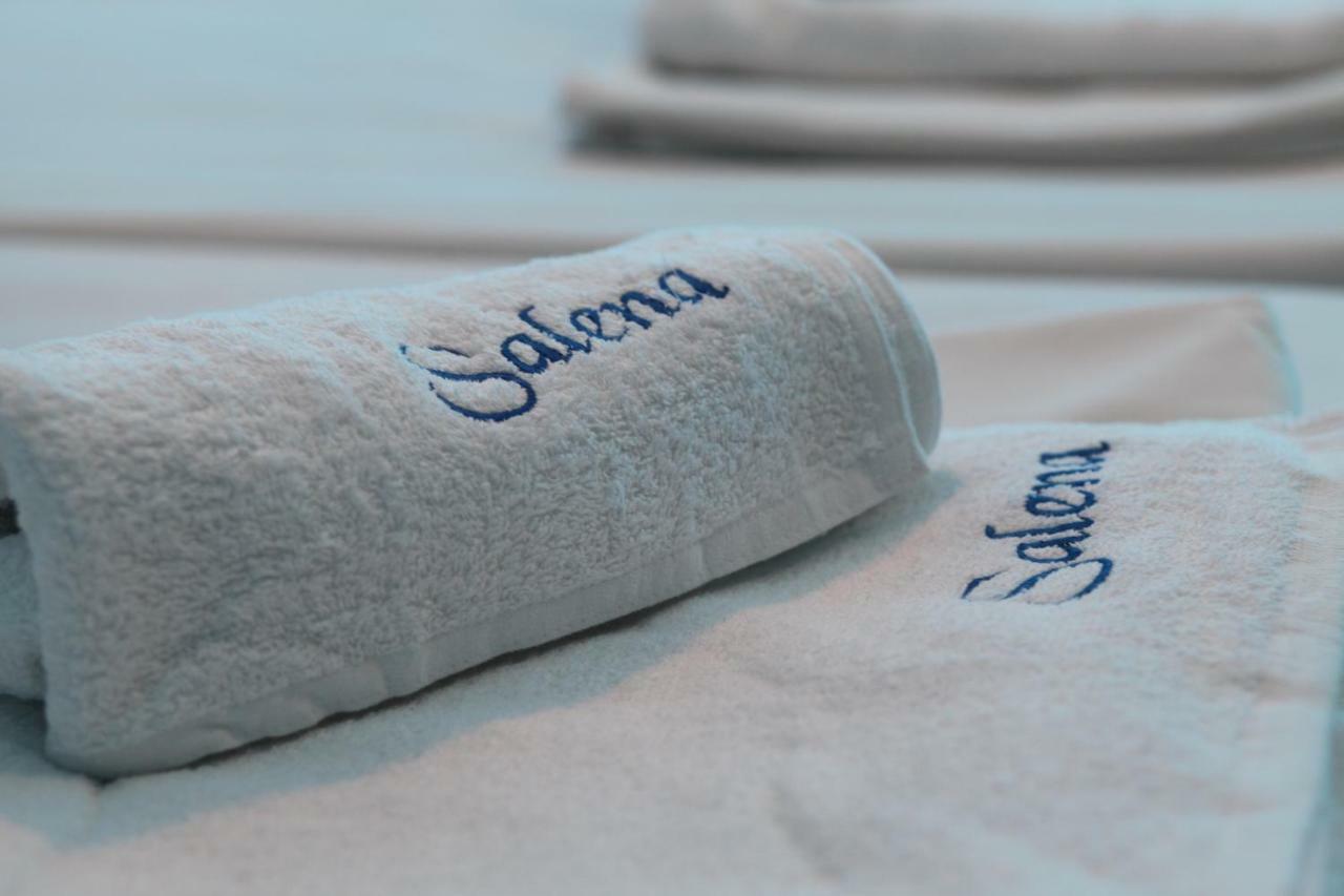 Salena Beach Hotel プリモルスコ エクステリア 写真